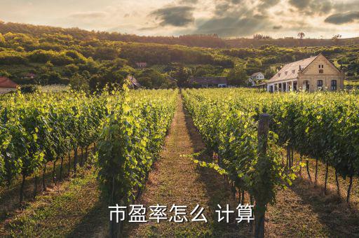 市盈率是怎么計算的,市盈率是投資者必須掌握的重要財務指標，