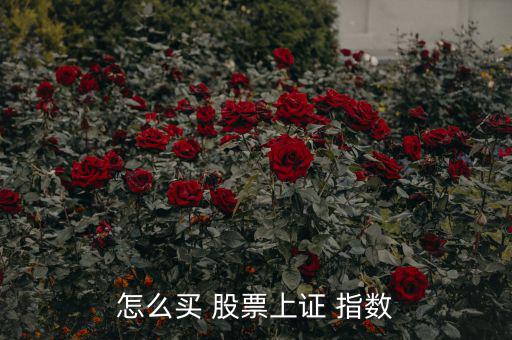 怎么買 股票上證 指數