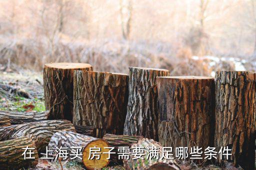 上海人怎么買的房子,無上海戶口居民家庭可申請(qǐng)?jiān)谏虾Ｙ彿?/></a></span><span id=