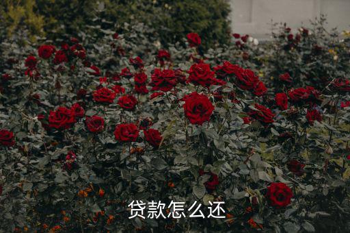 貸款怎么還合適,中國銀行推出等額本息、月均本金等還款方式
