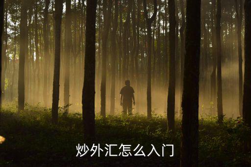泛融9月怎么出金,正規(guī)平臺怎么選，怎么學(xué)入門?