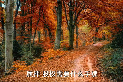 質(zhì)押股權(quán)怎么變現(xiàn),基金份額股權(quán)質(zhì)押后不得轉(zhuǎn)讓，除外