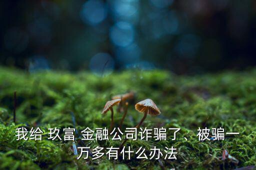 我給 玖富 金融公司詐騙了、被騙一萬(wàn)多有什么辦法