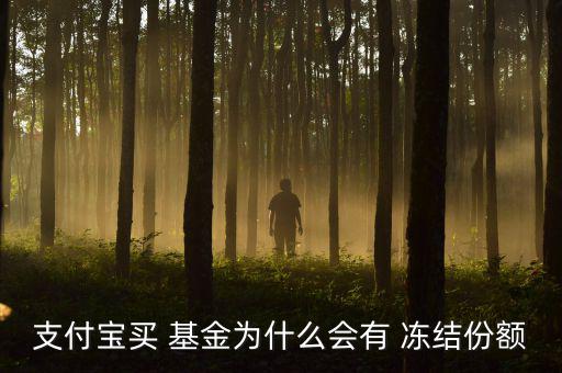 支付寶買 基金為什么會有 凍結(jié)份額