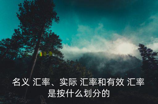 名義 匯率、實際 匯率和有效 匯率是按什么劃分的