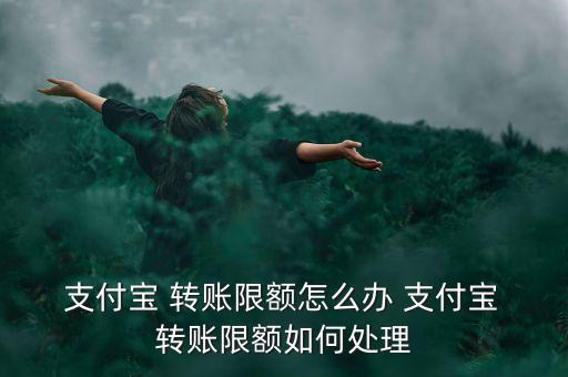 支付寶轉(zhuǎn)賬超額怎么辦,支付寶賬戶(hù)余額寶支付暫無(wú)支付限額