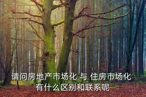 什么是房地產市場化，房地產市場分化甚么意思