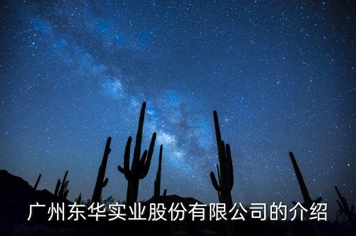 東華實業(yè)做什么行業(yè)，東華實業(yè)整體上市是哪個公司