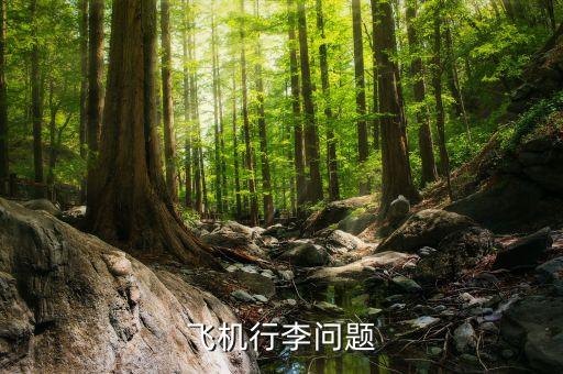 航空公司可以拒載什么傷人，憑什么飛機(jī)可以拒載