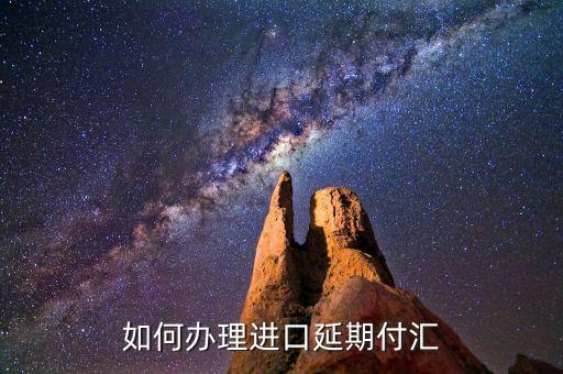 什么是進口付匯，什么是跨境貿(mào)易人民幣結(jié)算啊