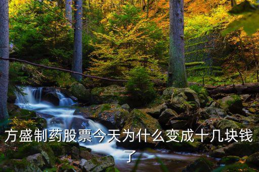 方盛制藥股票今天為什么變成十幾塊錢(qián)了