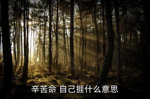 苦捱是什么意思，請問苦啷是什么意思