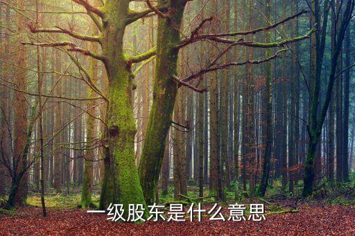 二級股東是什么意思，兩級股權(quán)結(jié)構(gòu)