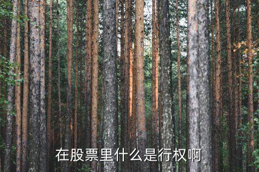 什么是行權(quán)股票，在股票里什么是行權(quán)啊