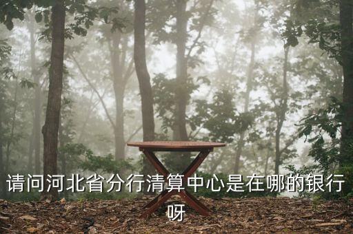 河北省分行清算中心是什么，請問河北省分行清算中心是在哪的銀行呀