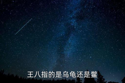 海王八指什么，什么是海王八