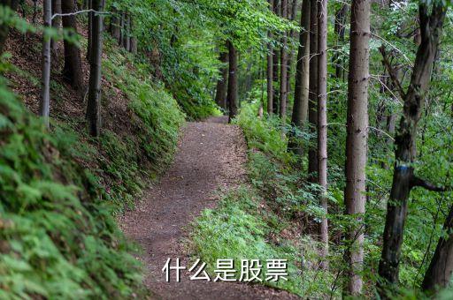什么事股票，什么是股票