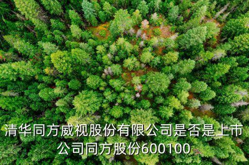 威視股份什么時(shí)候上市，威創(chuàng)股份什么時(shí)候上市