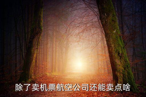 什么叫空地聯(lián)運(yùn)，昆明火車站候機(jī)