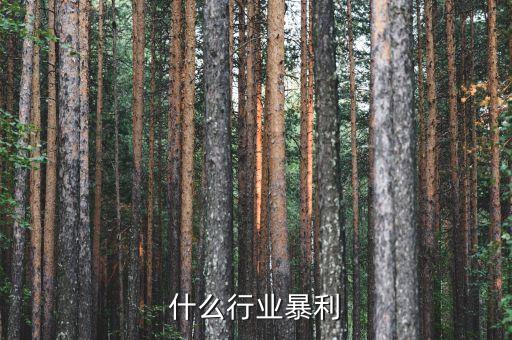 什么行業(yè)暴利，什么行業(yè)暴利