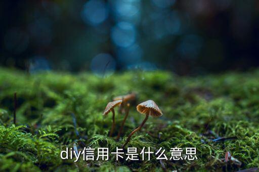diy信用卡是什么意思，D1y信用卡是什么意思