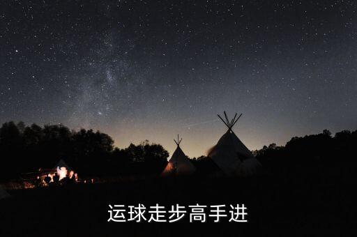 德隆治下的湘火炬戰(zhàn)略不包括什么，德隆治下的湘火炬戰(zhàn)略包括有哪些
