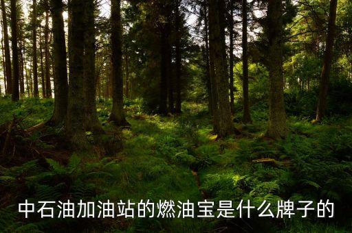 珠海中國(guó)石油里賣的是什么燃油寶，燃油寶是什么網(wǎng)上有得賣嗎
