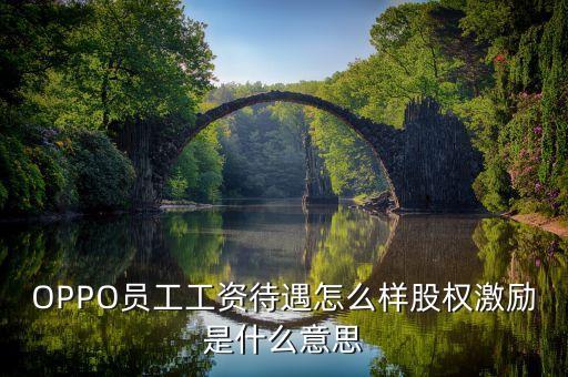 全員持股什么意思，OPPO員工工資待遇怎么樣股權(quán)激勵(lì)是什么意思
