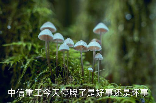 中信重工什么時(shí)候復(fù)牌，中信重工今天停牌了是好事還是壞事