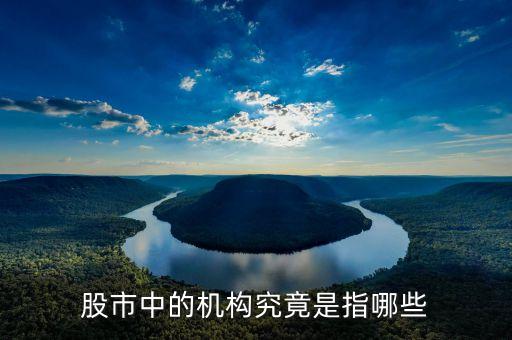 股票中的機(jī)構(gòu)指什么，股市里的機(jī)構(gòu)指的是什么
