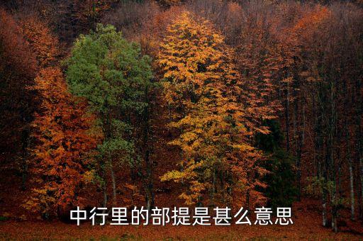 中國銀行部提是什么意思，中國銀行部提是什么意思