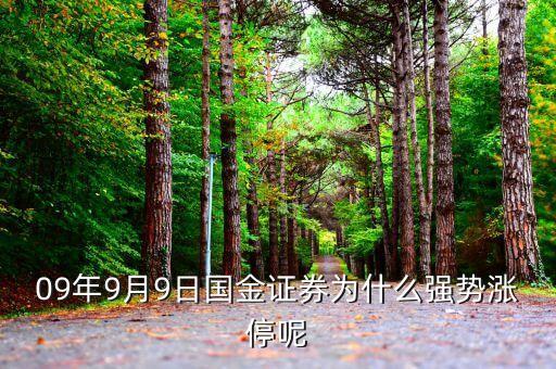 國(guó)金證券為什么漲停，股票為什么會(huì)漲停