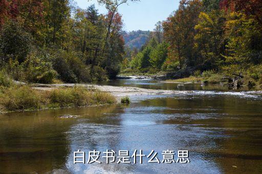 產(chǎn)品白皮書是什么意思，產(chǎn)品白皮書的文檔意義