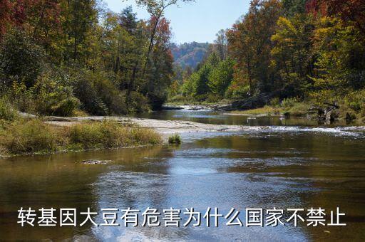 為什么說轉(zhuǎn)基因大豆會致癌，轉(zhuǎn)基因大豆有危害為什么國家不禁止