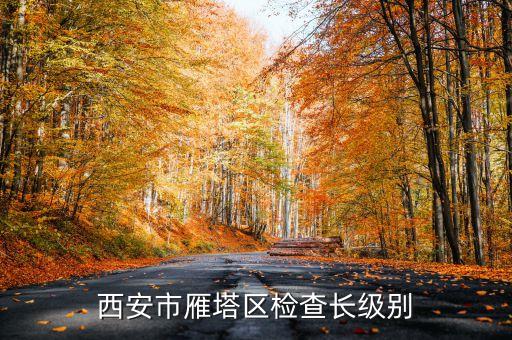西安市正局級是什么級別，碑林分局局長級別是什么級別