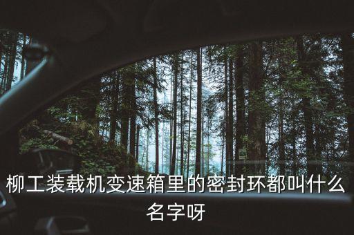 柳工836使用的什么鋼圈，柳工836配用的是什么發(fā)動(dòng)機(jī)