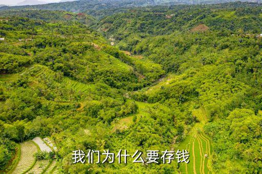 存錢有什么理由，我們?yōu)槭裁匆驽X