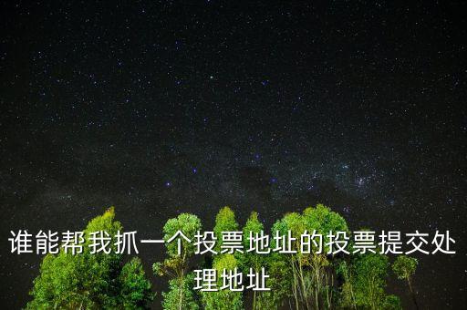 投票提交處理地址是什么，提交投票的問題怎么處理