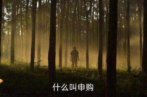 打新申購(gòu)什么意思，什么叫申購(gòu)