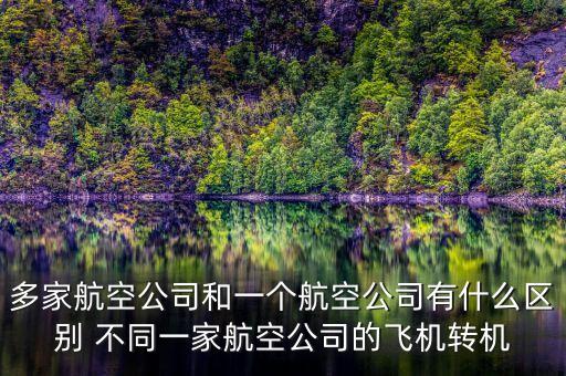 多家航空公司什么意思，同一架飛機有2家公司運營嗎我和我哥買的同一家飛機為什么是不