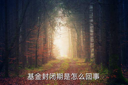 封閉式基金為什么要封閉，為什么認(rèn)購基金要封閉期封閉期是3個(gè)月內(nèi)不得提現(xiàn)