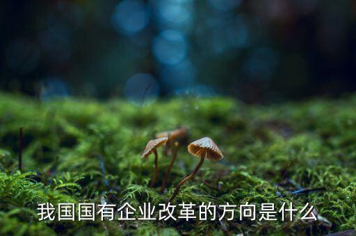 企業(yè)改革方向是什么，我國國有企業(yè)改革的方向是什么