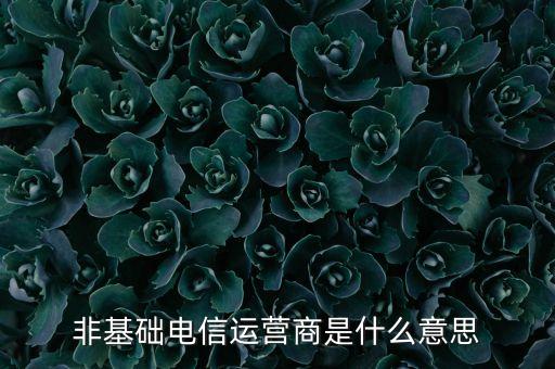 什么是基礎(chǔ)電信運(yùn)營(yíng)商，請(qǐng)問(wèn)基礎(chǔ)電信企業(yè)是不是就是指幾大電信運(yùn)營(yíng)商啊不勝感激