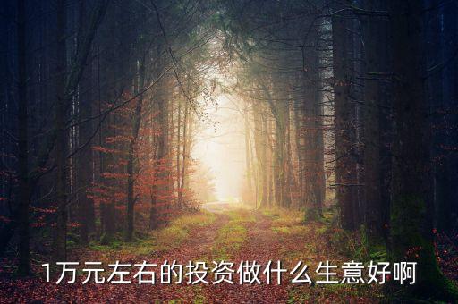 萬投資什么好，有10000元錢拿來做什么最好或者投資什么最好