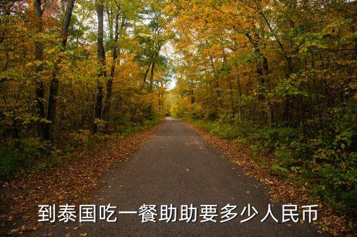 助幣是什么意思，到泰國吃一餐助助要多少人民幣