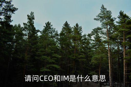 光大富尊IM是是什么，請問CEO和IM是什么意思