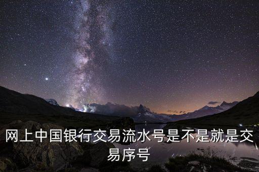 中國銀行企業(yè)網(wǎng)銀轉(zhuǎn)賬批次號什么意思，企業(yè)網(wǎng)銀客戶號是什么意思