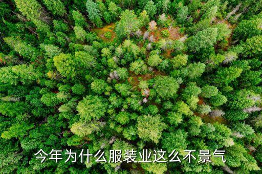 服裝業(yè)為什么不景氣，現(xiàn)在服裝企業(yè)為什么這么不景氣
