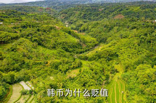 2016韓元為什么對(duì)人民幣貶值，韓幣為什么貶值