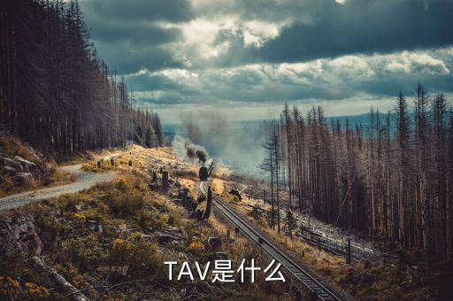 什么是孕線，TAV是什么